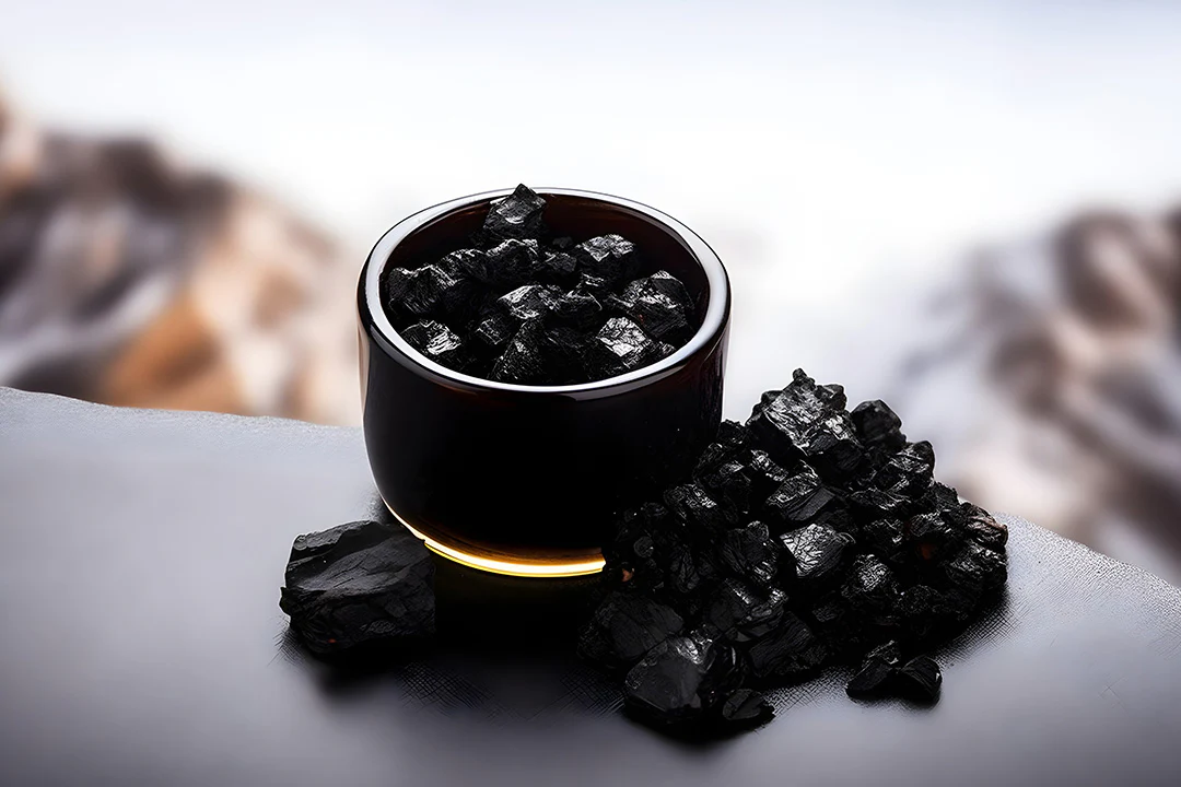 Boost Workout Performance with Shilajit and Keeda Jadi