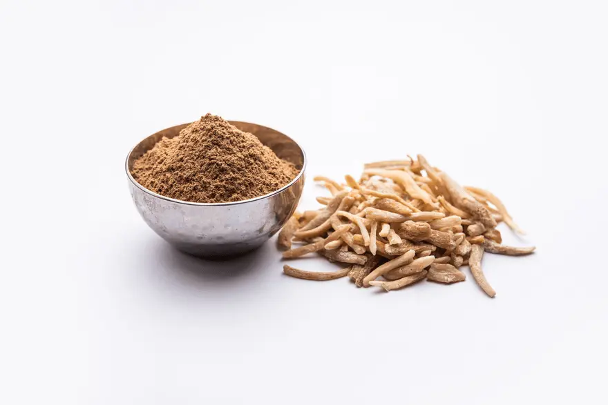 Why Safed Musli is a Game-Changer for Strength and Vitality