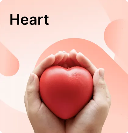 Heart